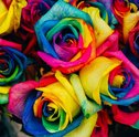 Como fazer flores tie dye com a Giuliana Flores