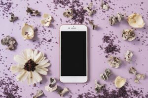 Smartphone rodeado de flores secas