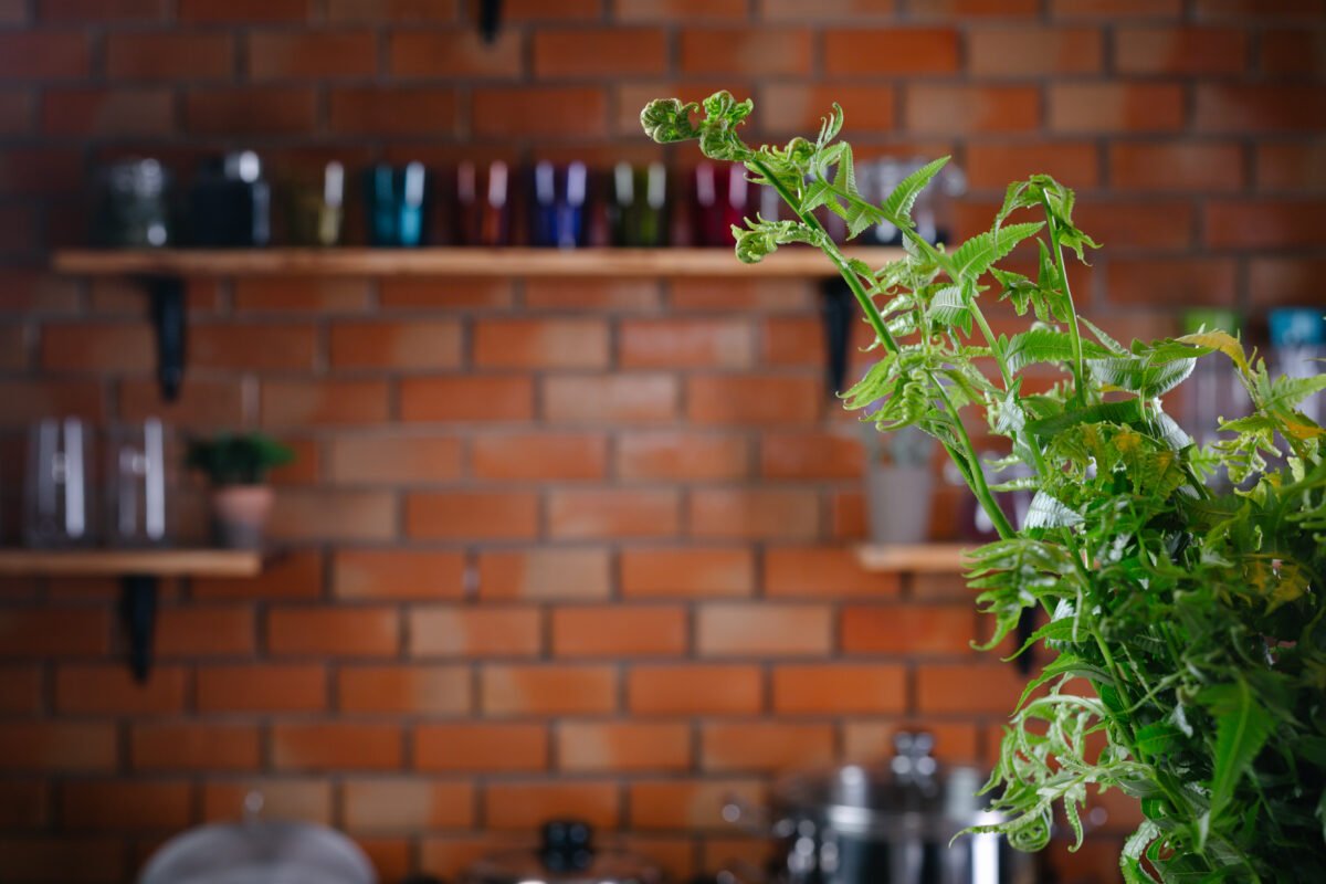 Conheça como cultivar callas e ter uma casa muito mais bonita