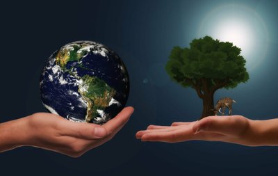 Conheça o Dia Mundial do Meio Ambiente