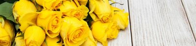 Qual o significado das rosas amarelas: inspire-se no seu significado