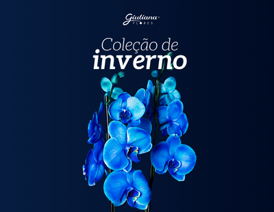 Flores de Inverno: Conheça a Nova Coleção da Giuliana Flores para Aquecer Corações na Estação Mais Charmosa do Ano