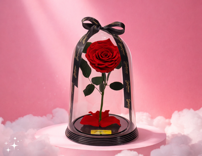 Presentes de Valentine’s Day 2026: Surpresas Que Encantam!